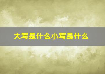 大写是什么小写是什么