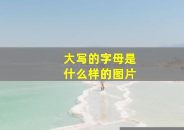 大写的字母是什么样的图片