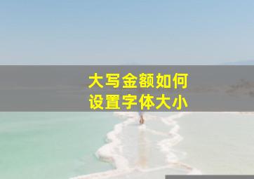 大写金额如何设置字体大小