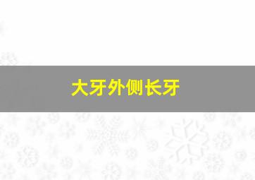 大牙外侧长牙