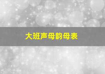 大班声母韵母表