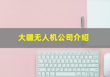 大疆无人机公司介绍