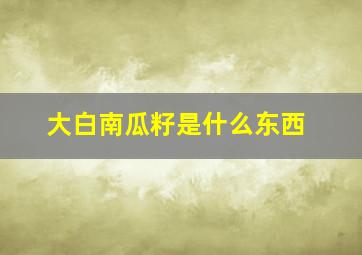 大白南瓜籽是什么东西