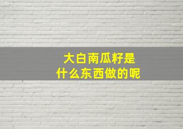 大白南瓜籽是什么东西做的呢