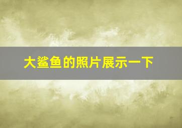 大鲨鱼的照片展示一下