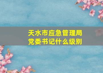 天水市应急管理局党委书记什么级别