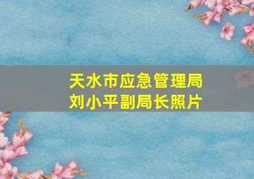 天水市应急管理局刘小平副局长照片