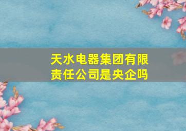 天水电器集团有限责任公司是央企吗