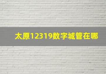 太原12319数字城管在哪