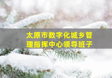 太原市数字化城乡管理指挥中心领导班子