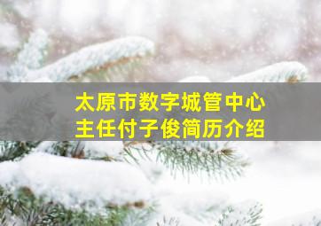 太原市数字城管中心主任付子俊简历介绍