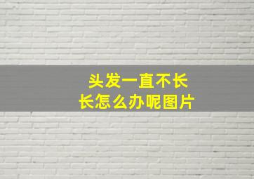 头发一直不长长怎么办呢图片