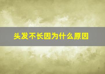 头发不长因为什么原因