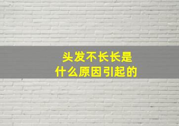 头发不长长是什么原因引起的