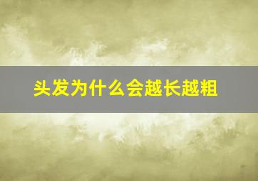 头发为什么会越长越粗