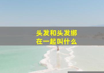 头发和头发绑在一起叫什么