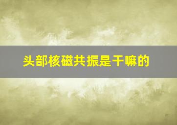 头部核磁共振是干嘛的