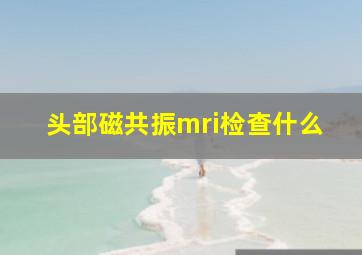 头部磁共振mri检查什么