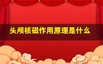 头颅核磁作用原理是什么