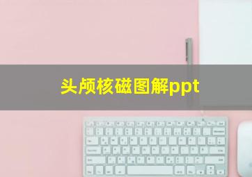 头颅核磁图解ppt