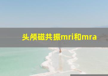 头颅磁共振mri和mra