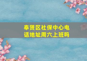 奉贤区社保中心电话地址周六上班吗