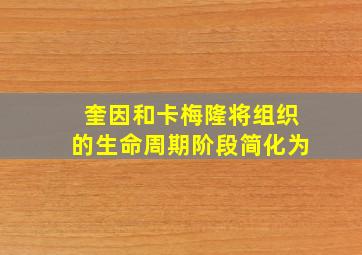 奎因和卡梅隆将组织的生命周期阶段简化为