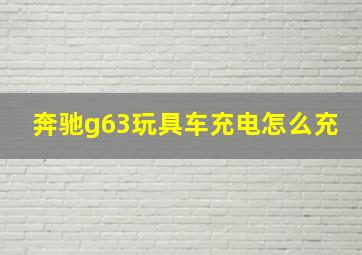 奔驰g63玩具车充电怎么充