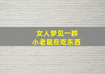 女人梦见一群小老鼠在吃东西