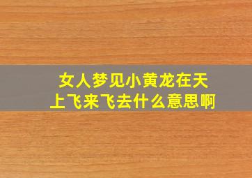 女人梦见小黄龙在天上飞来飞去什么意思啊