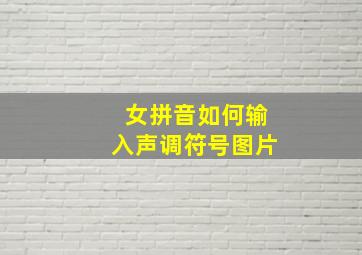 女拼音如何输入声调符号图片