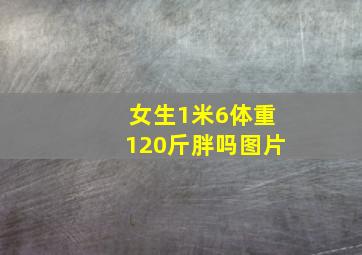 女生1米6体重120斤胖吗图片