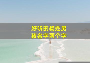 好听的杨姓男孩名字两个字