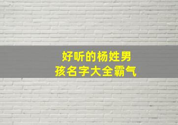 好听的杨姓男孩名字大全霸气