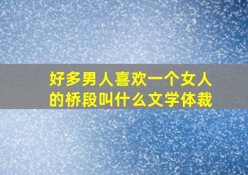 好多男人喜欢一个女人的桥段叫什么文学体裁