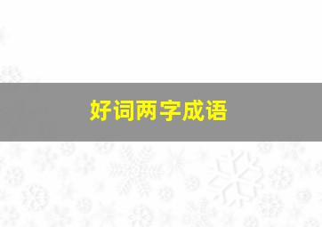 好词两字成语