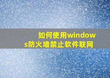 如何使用windows防火墙禁止软件联网