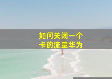 如何关闭一个卡的流量华为