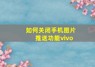 如何关闭手机图片推送功能vivo