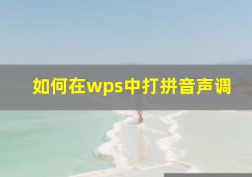 如何在wps中打拼音声调