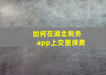 如何在湖北税务app上交医保费