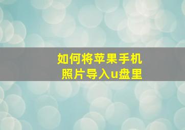 如何将苹果手机照片导入u盘里