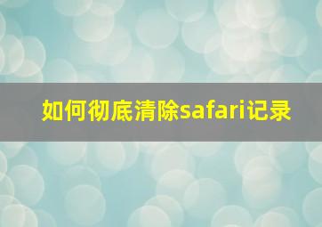 如何彻底清除safari记录