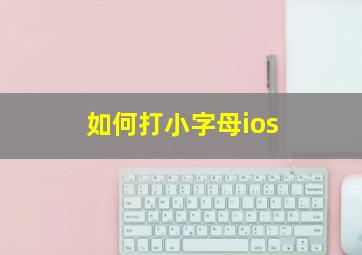 如何打小字母ios