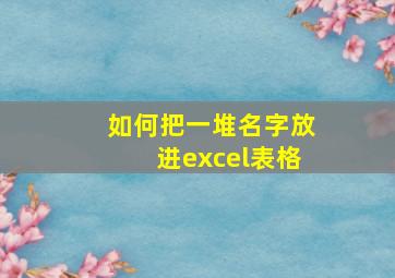 如何把一堆名字放进excel表格