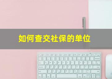 如何查交社保的单位