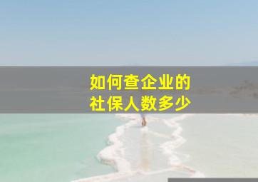 如何查企业的社保人数多少