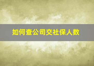 如何查公司交社保人数