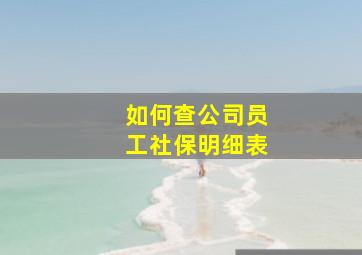 如何查公司员工社保明细表