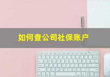 如何查公司社保账户